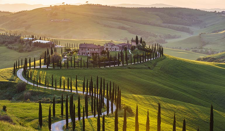 day trips from florence to siena countryside 