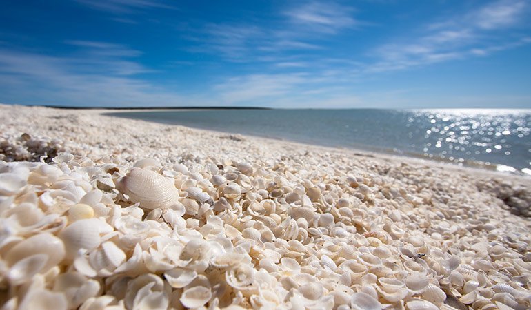 unusual beach vacation spots