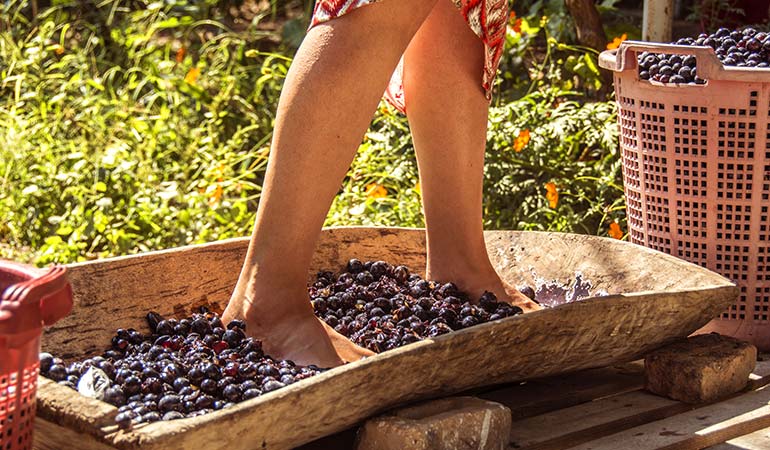 italian-food-festival-festa-dell'uva-impruneta