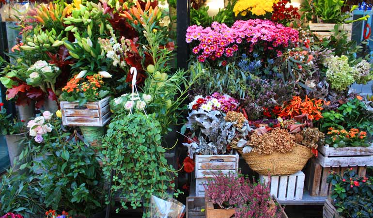 barcelona flower market 