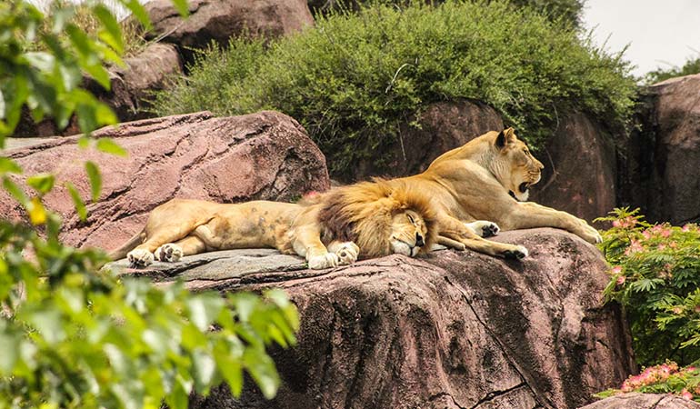 Unusual Activities in London Sherlock Holmes Museum in Baker Street