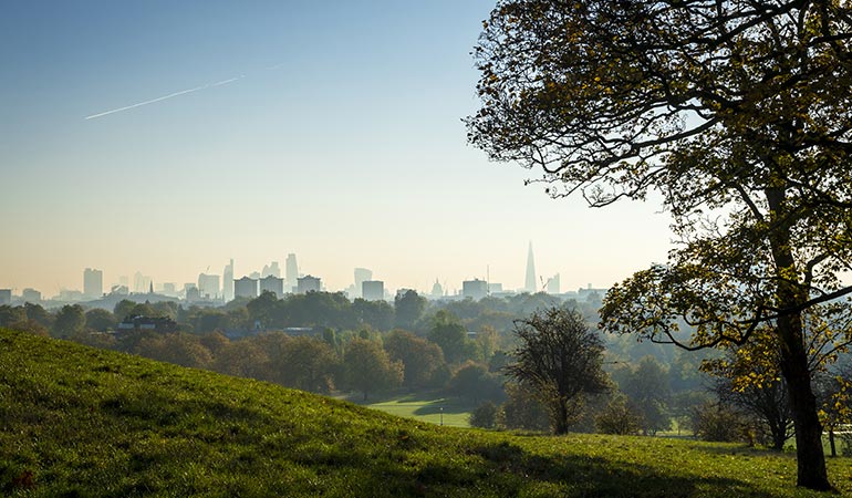 best pub food London countryside 