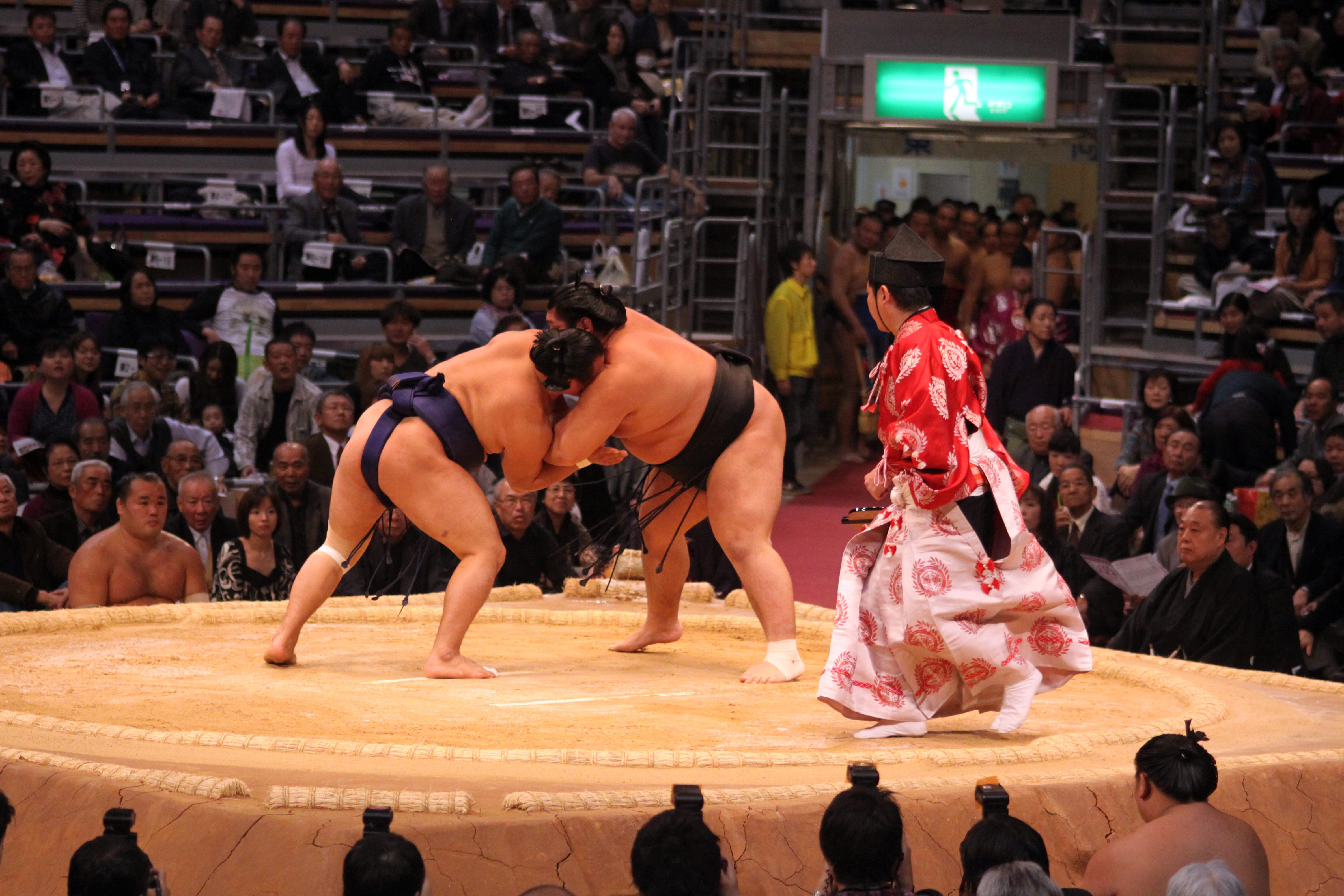 Sumo wrestling show in Tokyo, Japan