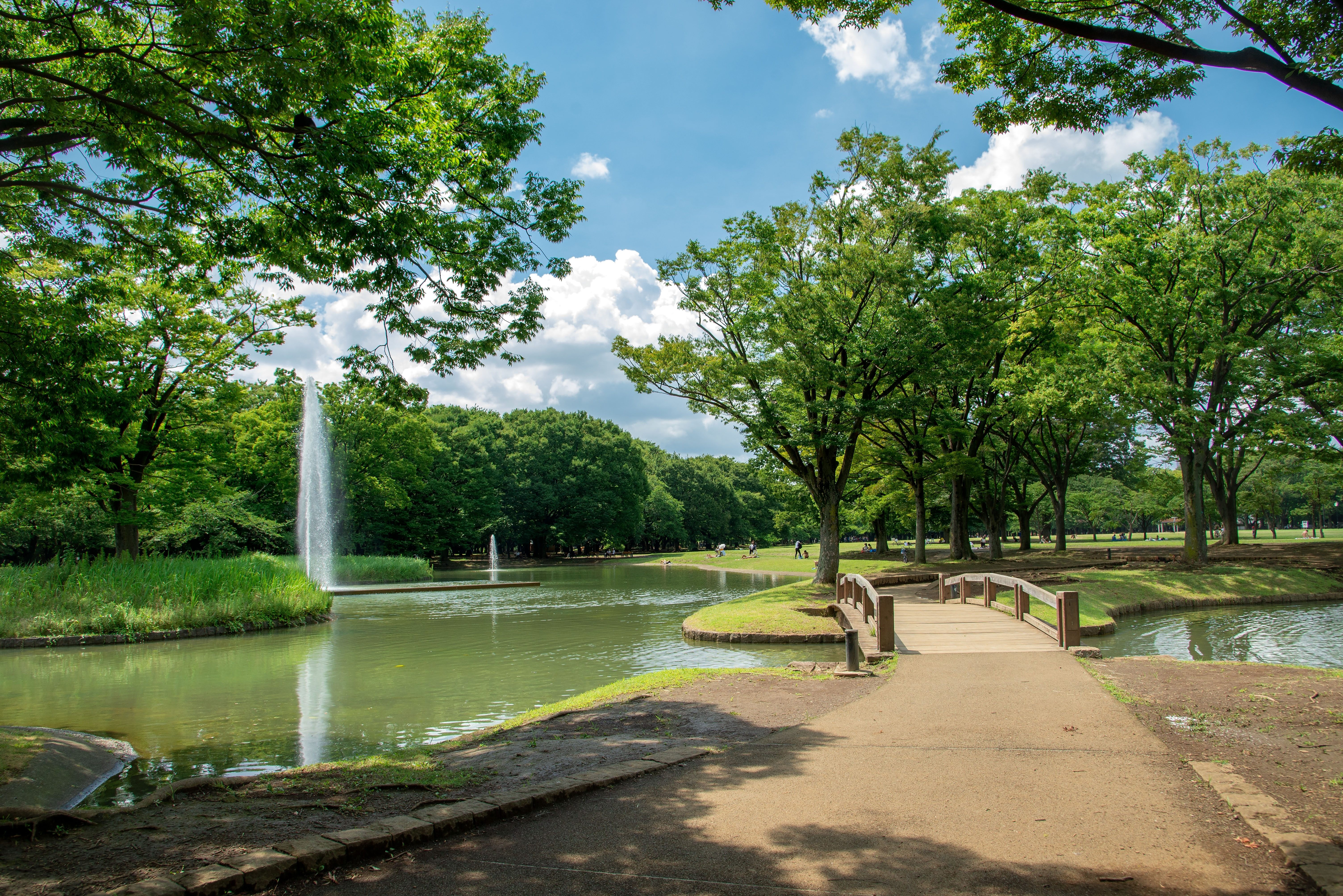Yoyogi Park in Shibuya, Tokyo