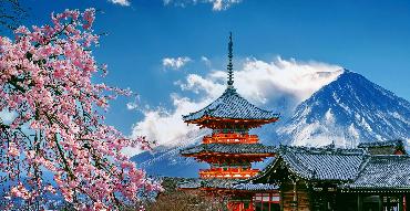 Cherry blossoms and red pagoda near Tokyo, Japan