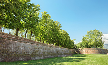 things to visit in lucca