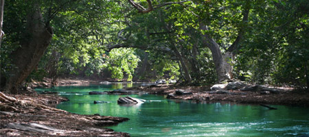 Soak up in Nature and Parks