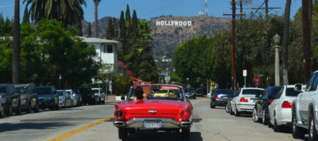 Take a Hollywood Tour