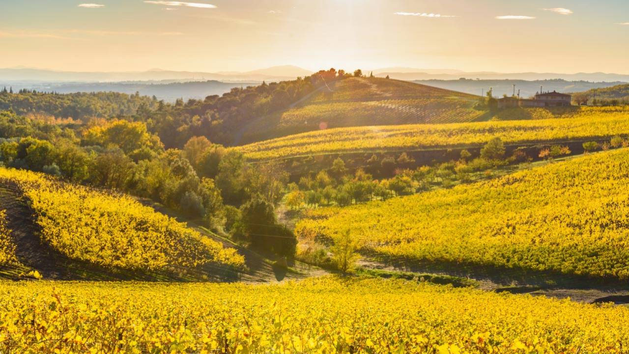Siena food tour and dinner at night