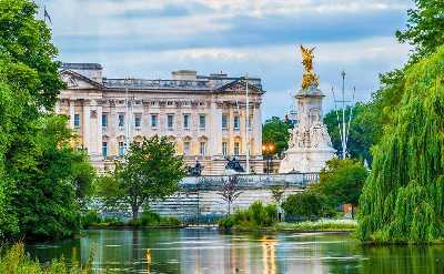 buckingham palace gardens