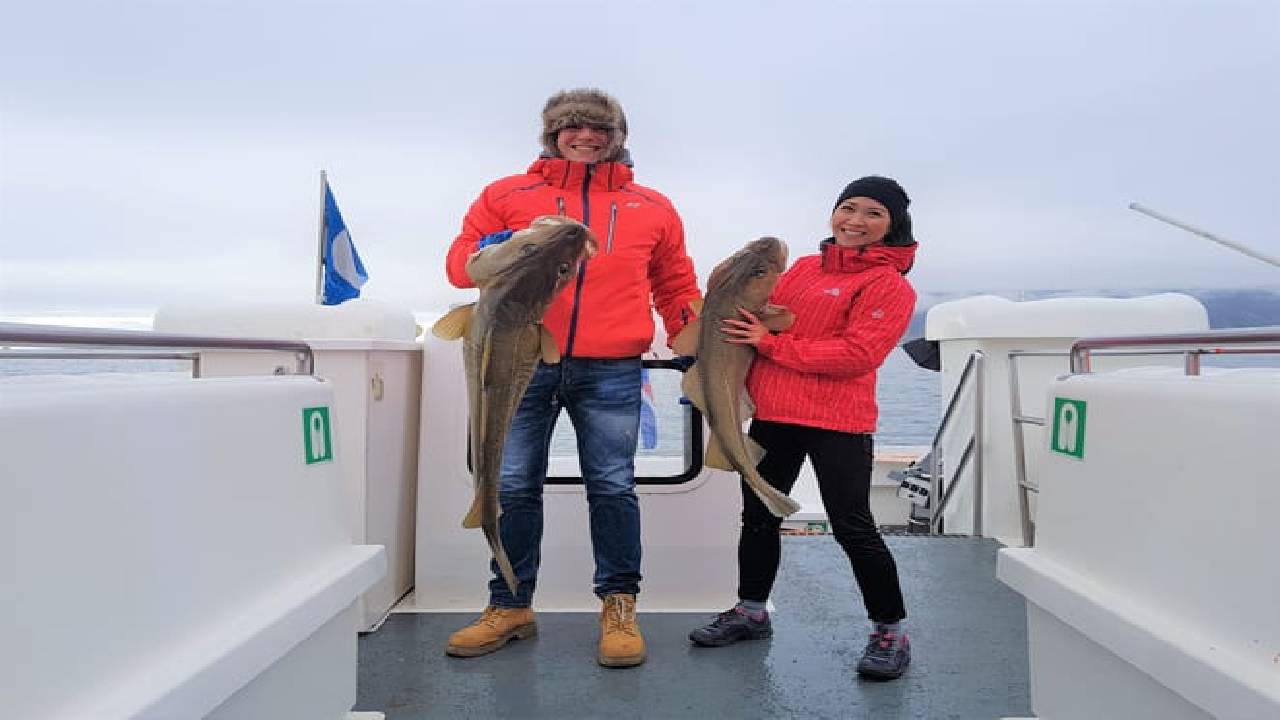 Whales & Sea Angling