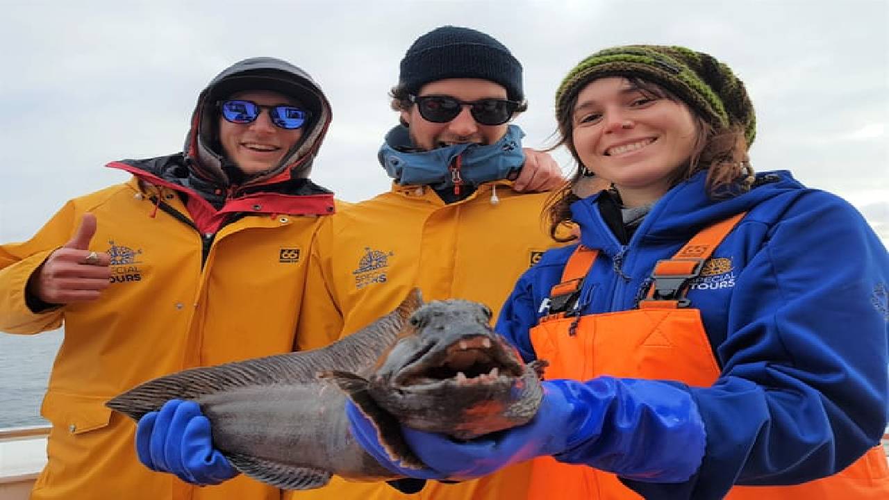 Whales & Sea Angling