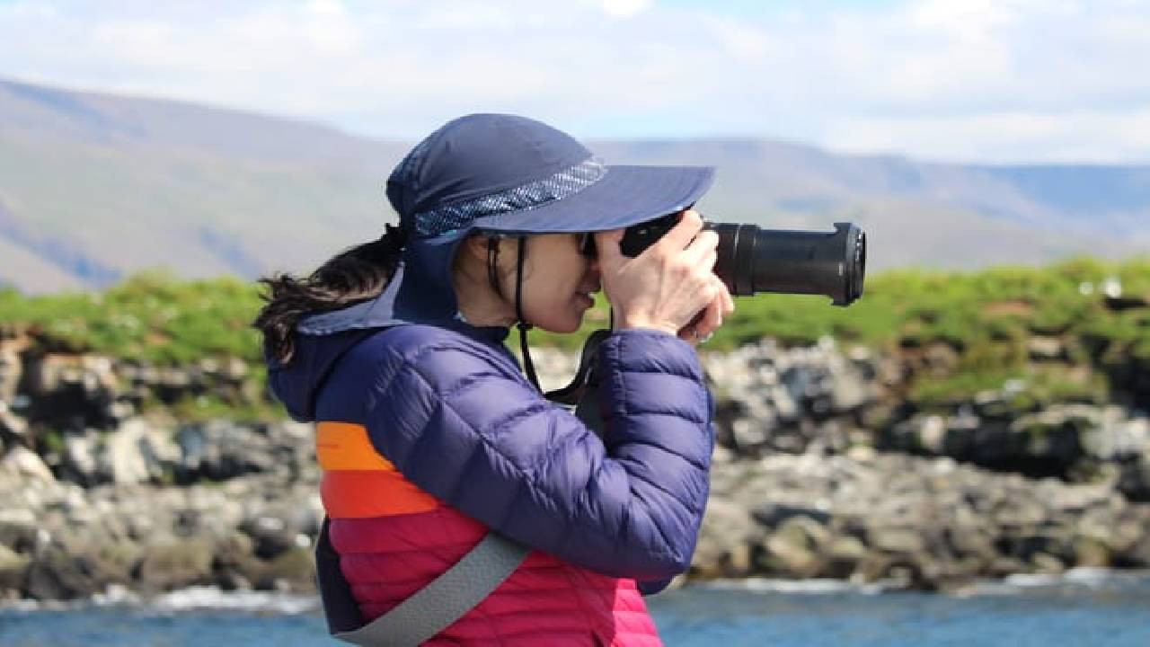 Reykjavík Classic Puffin Watching