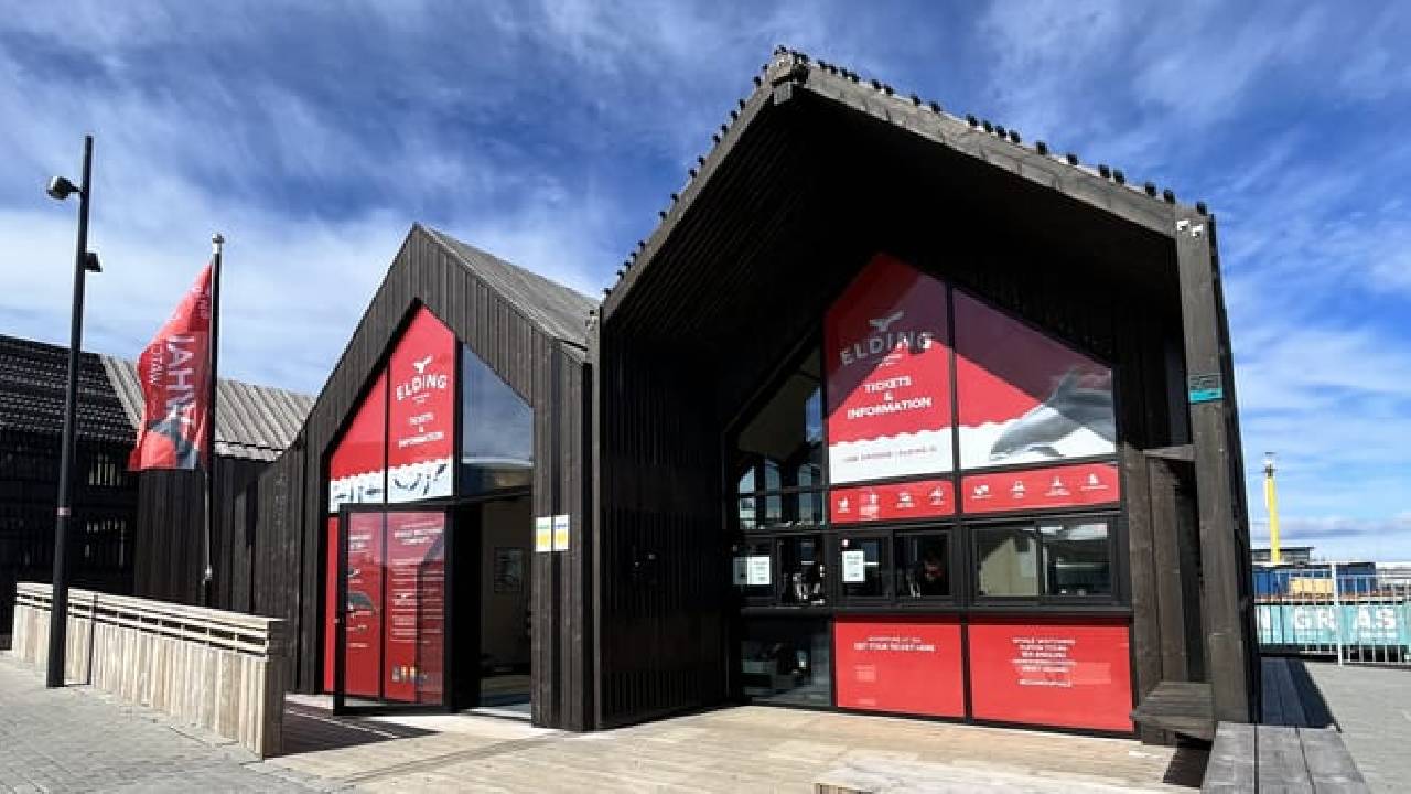 Reykjavík Classic Whales in the Midnight Sun