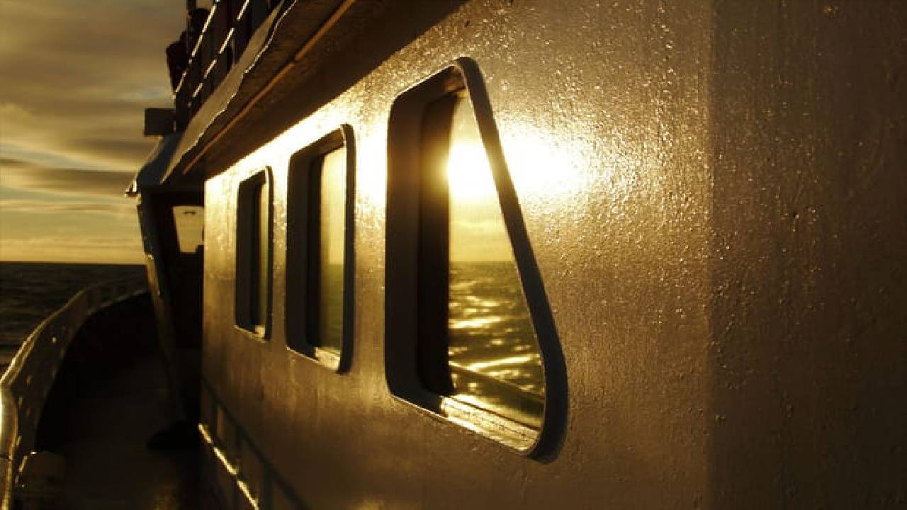 Reykjavík Classic Whales in the Midnight Sun