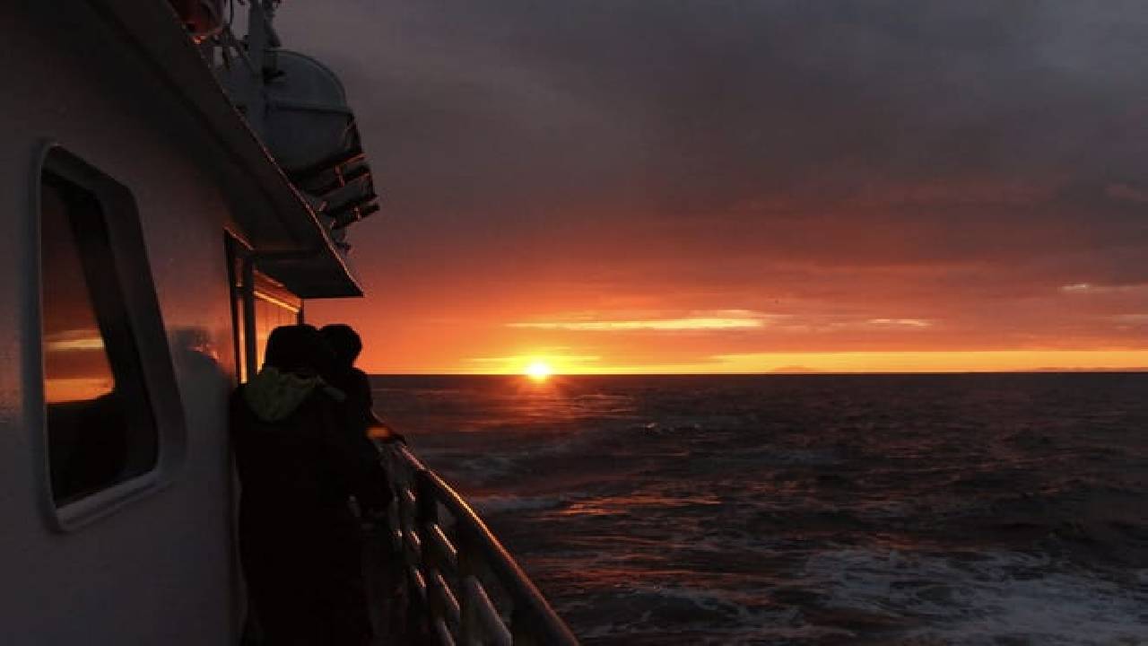 Reykjavík Classic Whales in the Midnight Sun