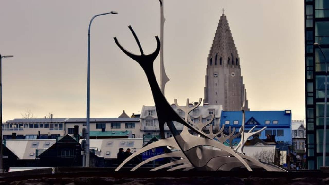 Reykjavík Premium Whale Watching