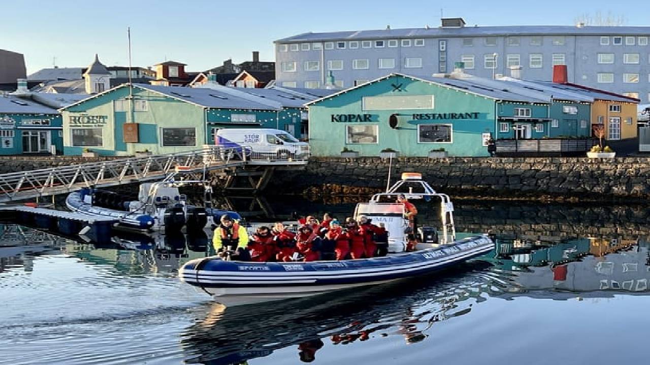 Reykjavík Premium Whale Watching