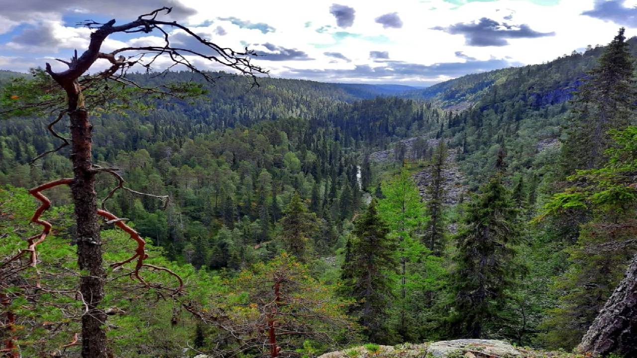 Korouoma Canyon Hike Tour & Barbeque - Small Group