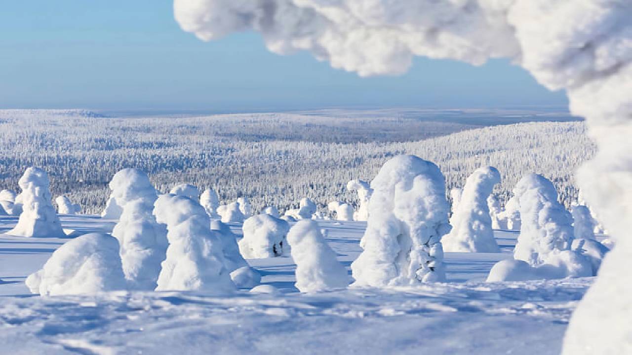 Riisitunturi Wilderness Expedition & Barbeque - Small Group