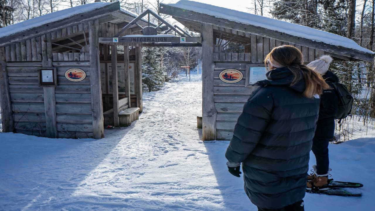 Snowshoe Adventure at Vikaköngäs & Barbeque - Small Group