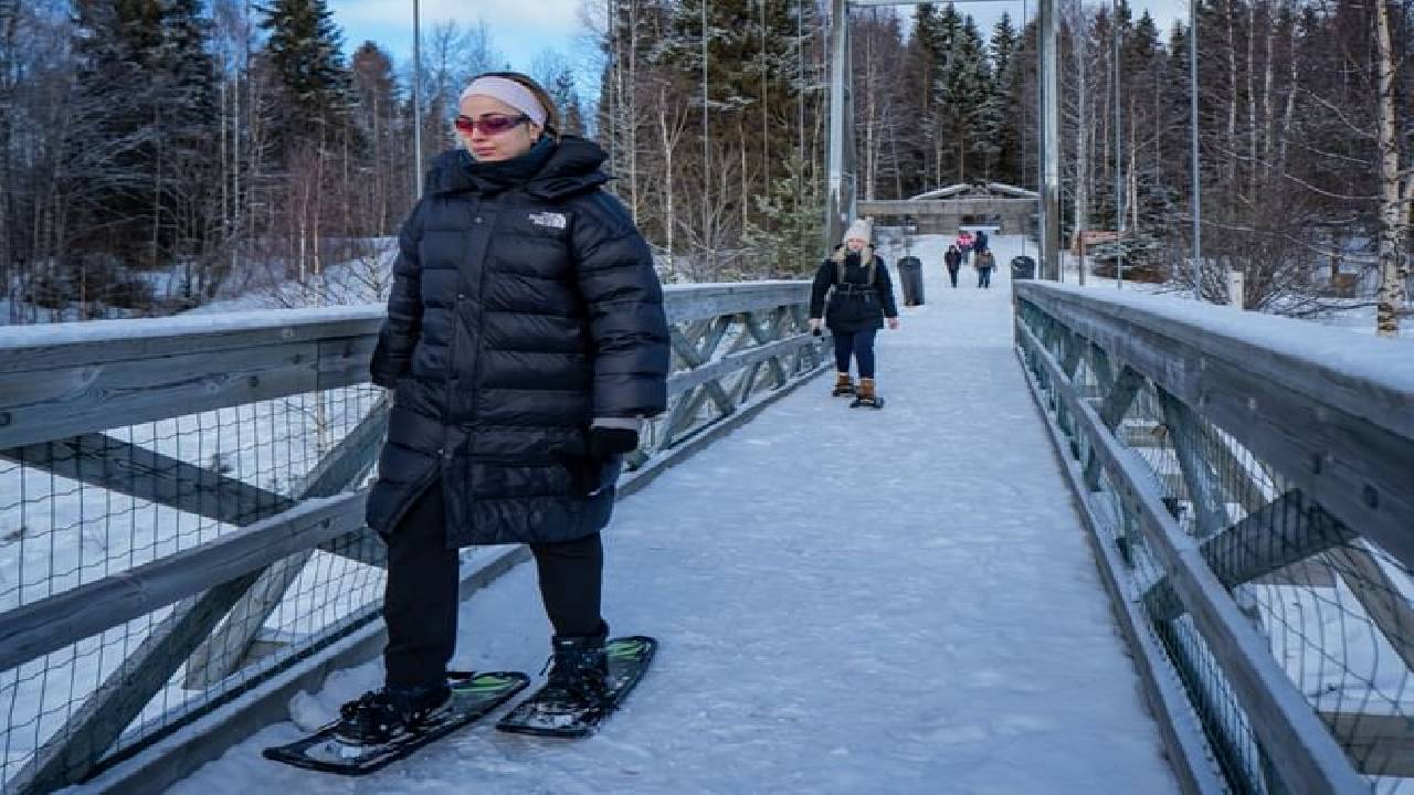 Snowshoe Adventure at Vikaköngäs & Barbeque - Small Group