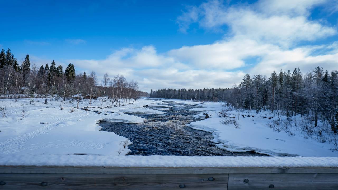 Snowshoe Adventure at Vikaköngäs & Barbeque - Small Group