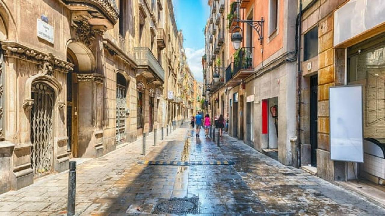 Barcelona: Picasso Museum Ticket & Audio Tour with a City Walk