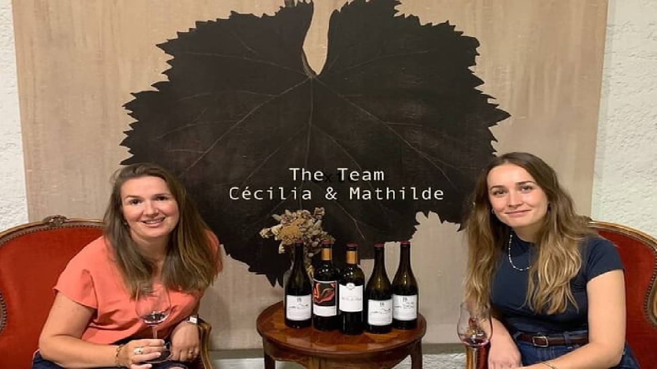 Workshop : Tasting of 6 Bordeaux wines and pairing charcuterie & cheese