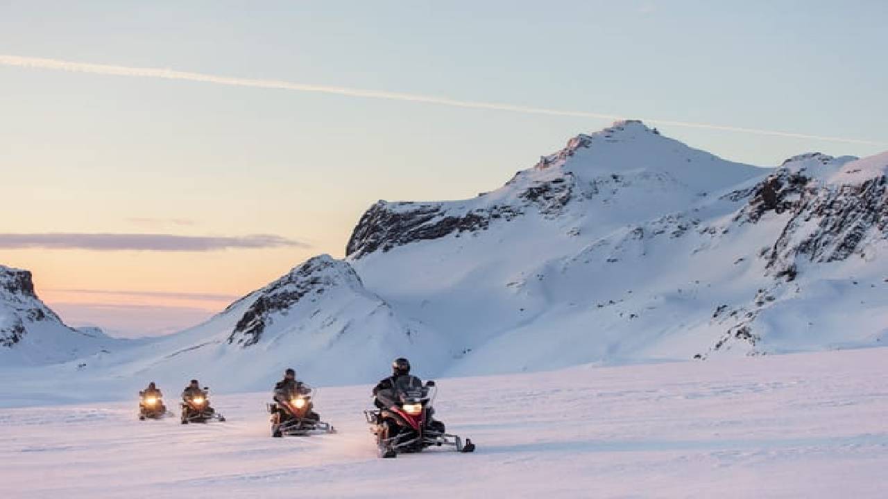 Reykjavík Whales & Snowmobile