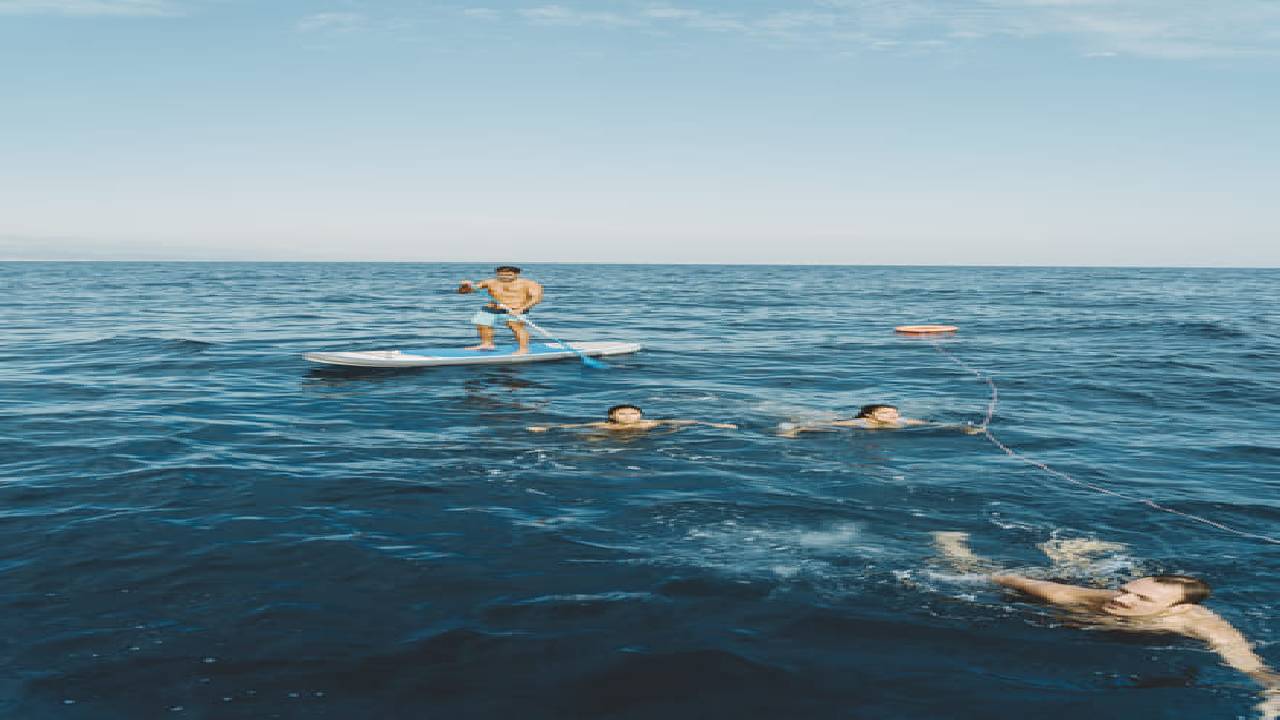 2 hours private luxury catamaran Barcelona (Bali 4.2)