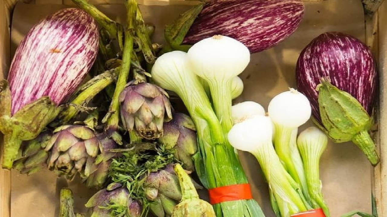 Private Lyon Old Town Food Tour with a local expert