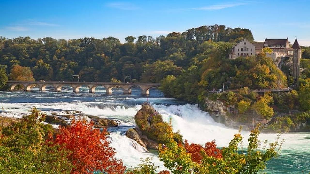 Rhine Falls and Stein am Rhein (Private Tour)