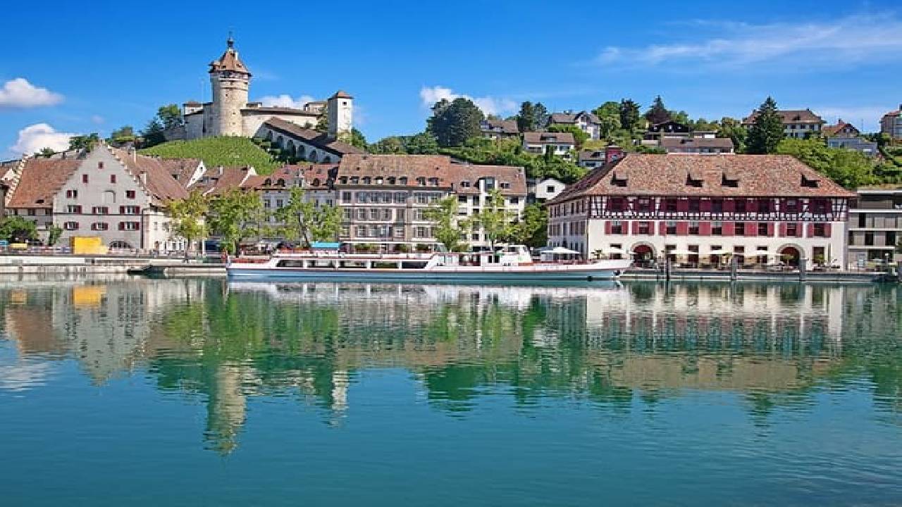 Rhine Falls and Stein am Rhein (Private Tour)