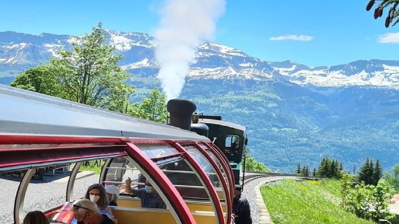 Bernese Alps, Steam Train & Lake Cruise (Private Tour)
