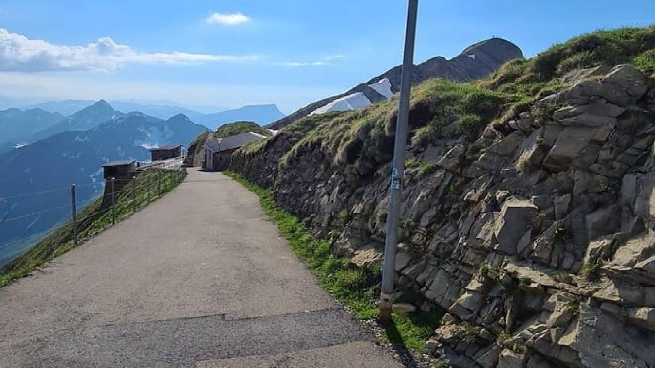 Bernese Alps, Steam Train & Lake Cruise (Private Tour)