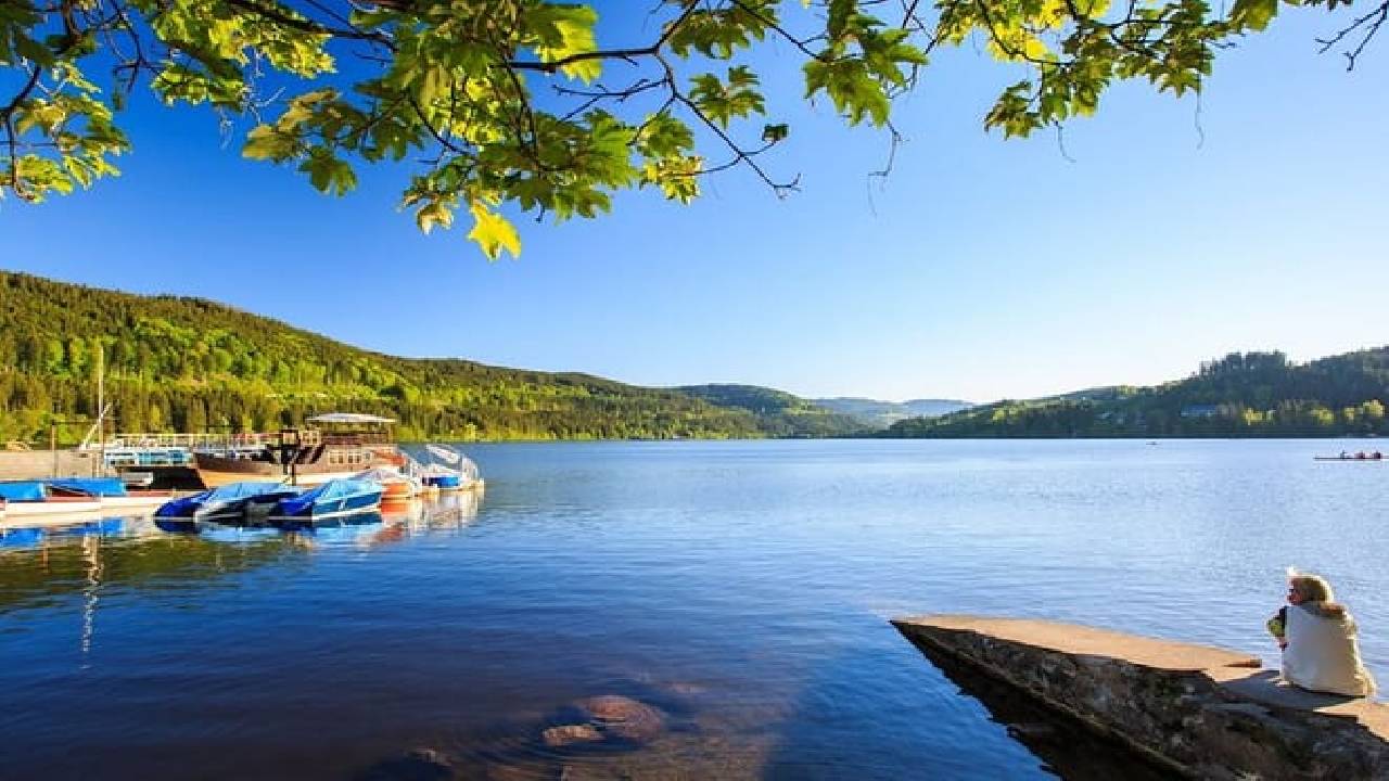 Black Forest and Wine Tasting in Alsace (Private Tour)