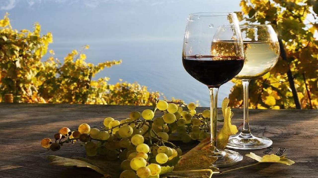 The Vine Tour from Zurich (Private Tour)