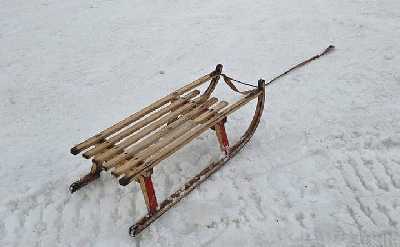 Sledding Ride and Fondue From Zurich (Private Tour)