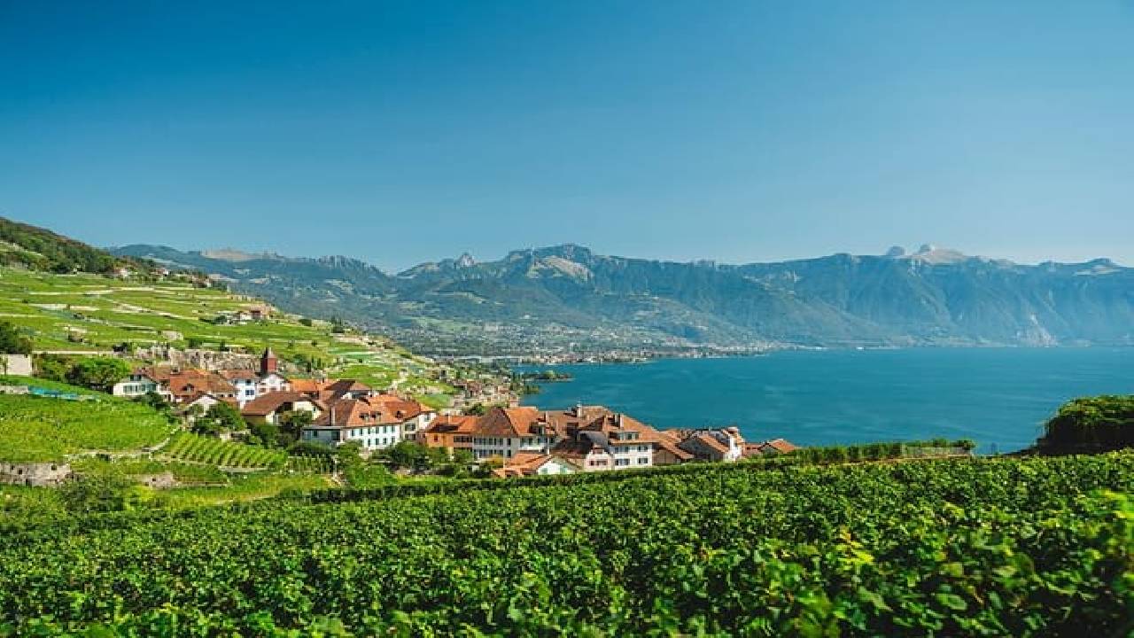 Swiss Riviera Day Trip (Private Tour)