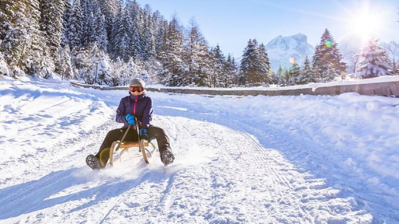 Winter Sledging Adventure (Private Tour)