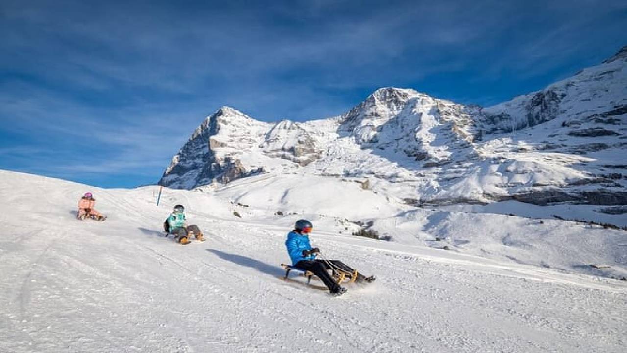 Winter Sledging Adventure (Private Tour)