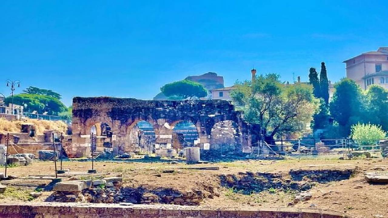 Ancient Rome Revealed: From the Forum to the Colosseum