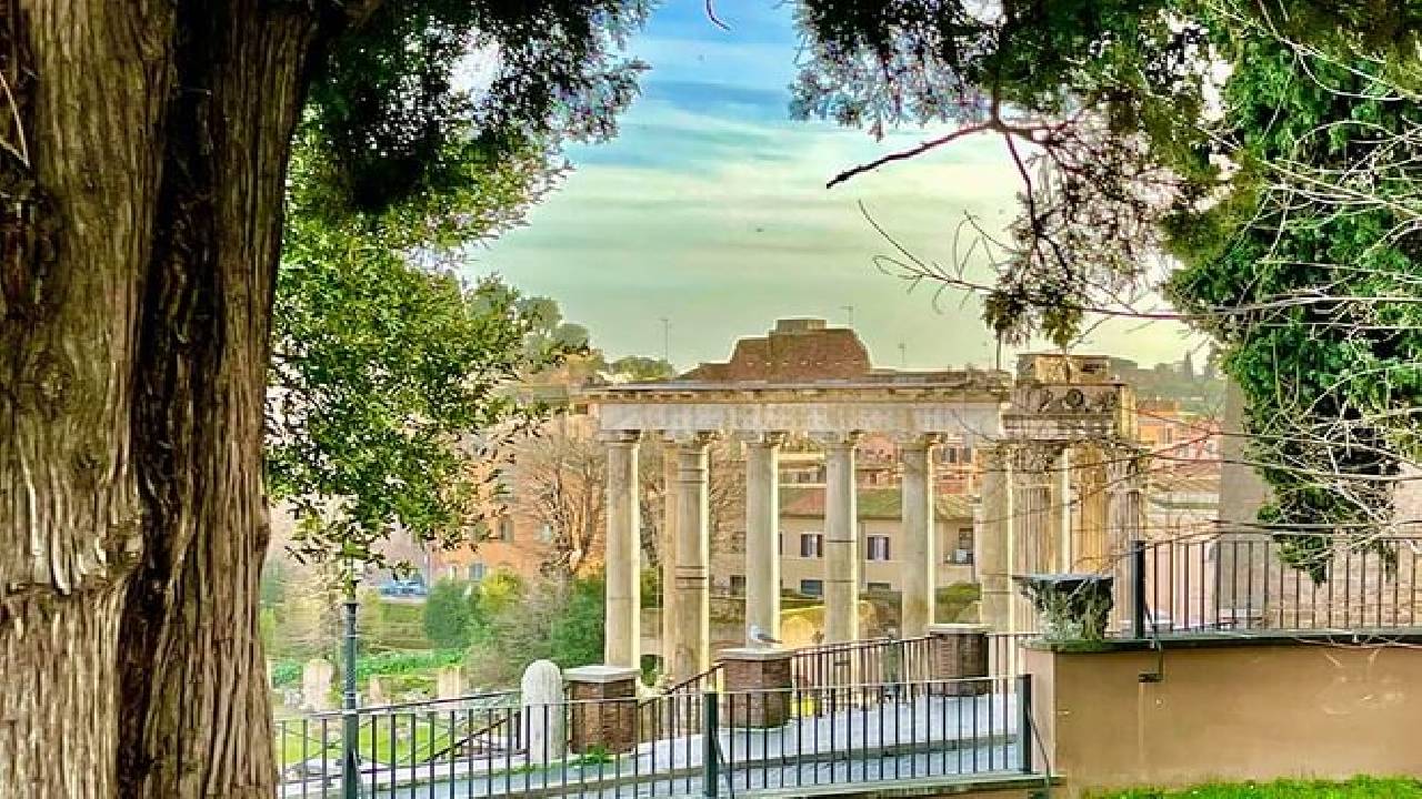 Ancient Rome Revealed: From the Forum to the Colosseum