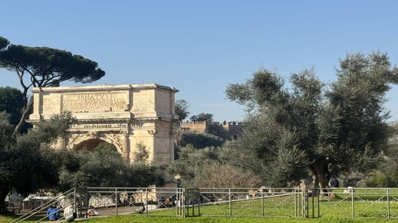 Rome Colosseum, & Catacombs Underground Tours Tickets & Transfer 