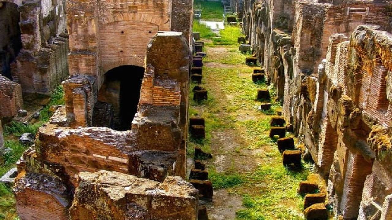 Colosseum, Roman Forum & Palatine Hill Guided Tour of Ancient Rome