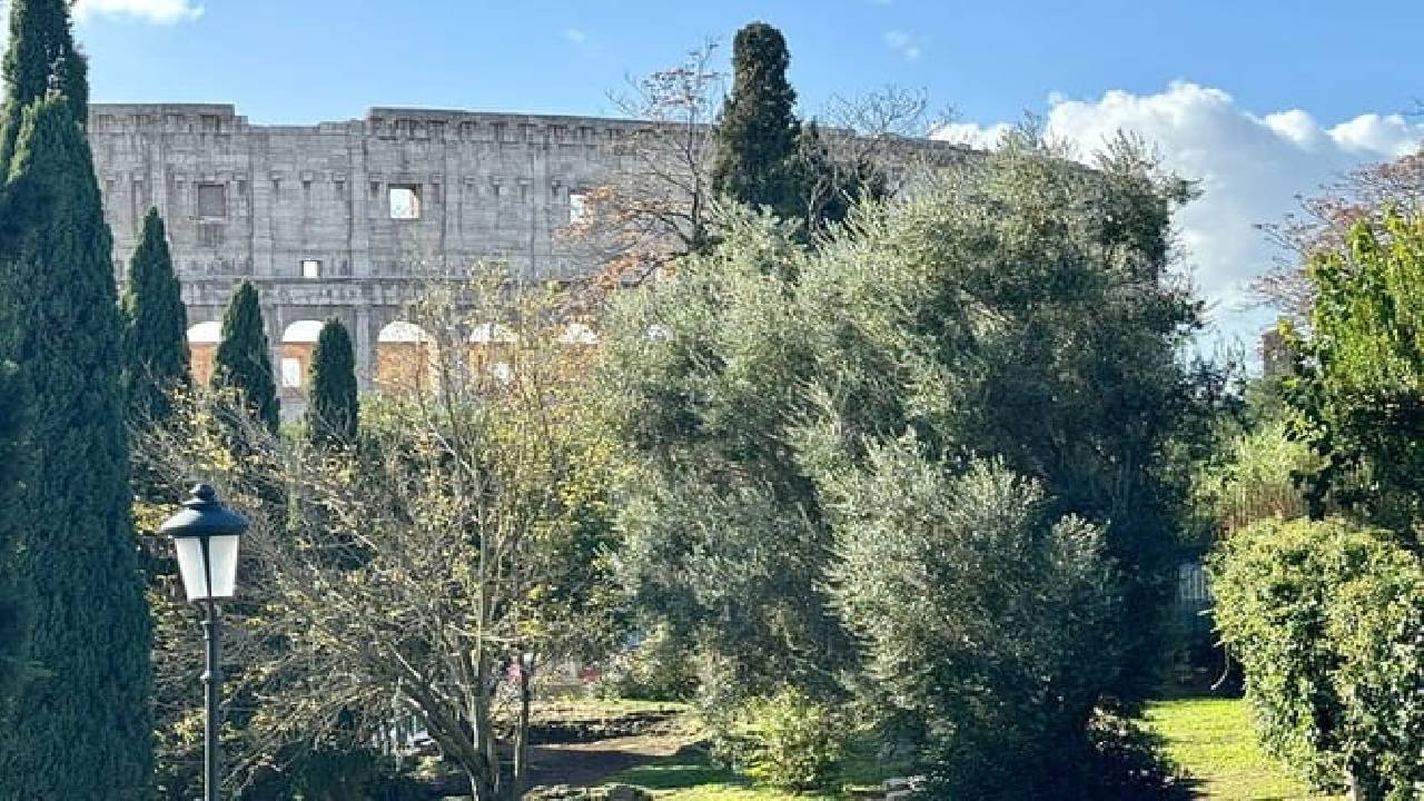 Colosseum, Roman Forum & Palatine Hill Guided Tour of Ancient Rome
