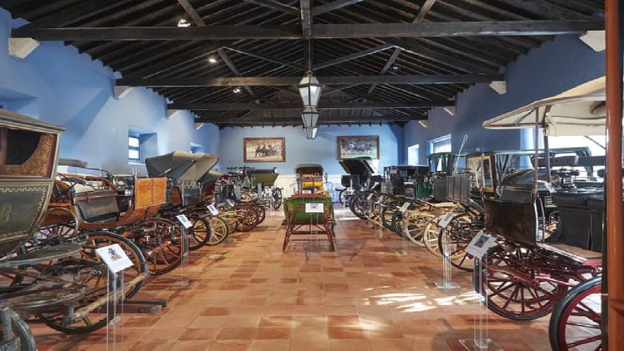 From Lisbon: Évora, Cathedral, Bones Chapel & Wine Tasting