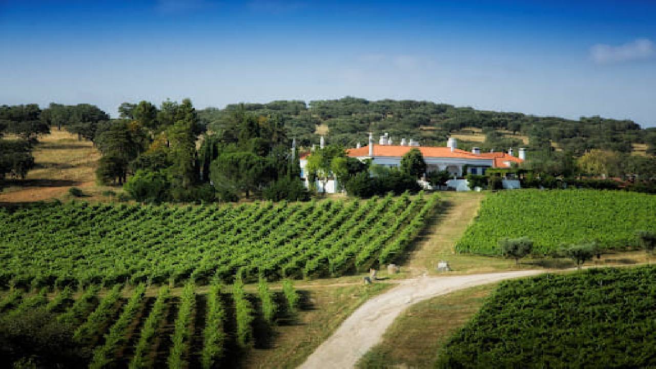 From Lisbon: Évora, Cathedral, Bones Chapel & Wine Tasting