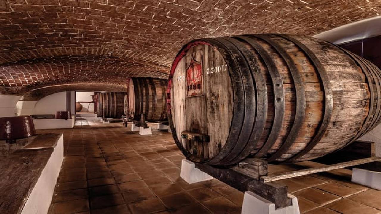 From Lisbon: Évora, Cathedral, Bones Chapel & Wine Tasting